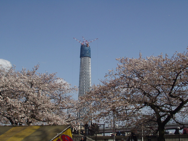 img0033.jpg