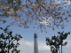 img0022.jpg