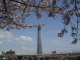 img0030.jpg