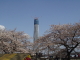 img0033.jpg