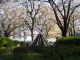 img0034.jpg