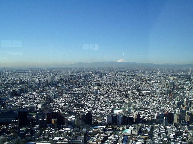 img0010.jpg