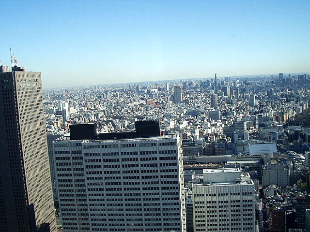 img0029.jpg