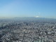 img0011.jpg