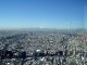 img0012.jpg