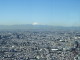 img0013.jpg