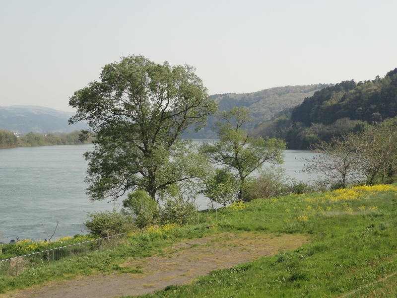 img0000.jpg