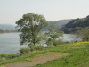img0000.jpg