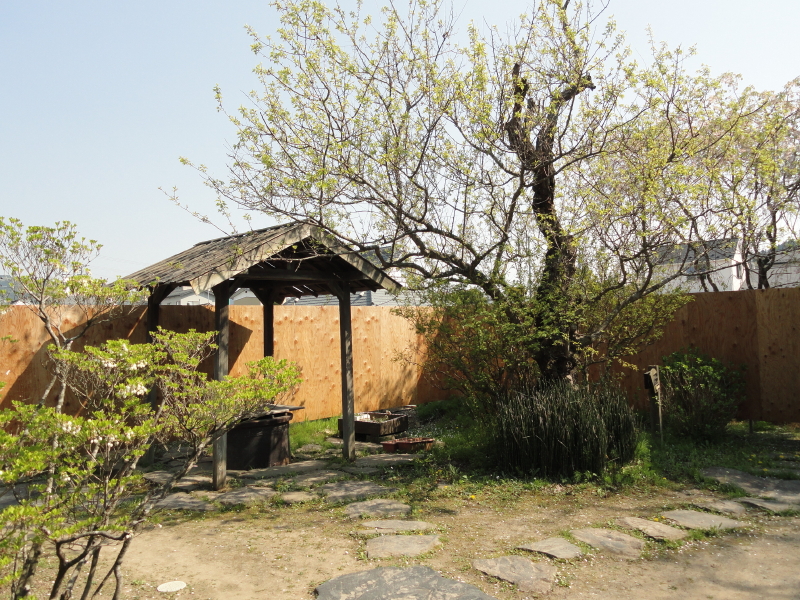img0017.jpg