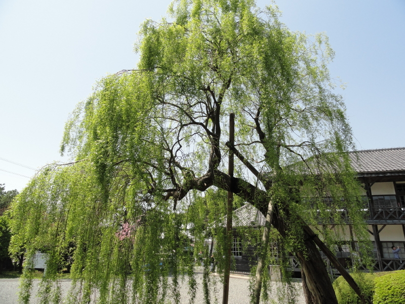 img0061.jpg