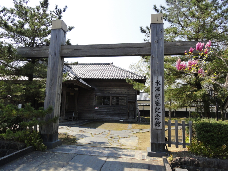 img0005.jpg