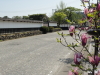 img0001.jpg