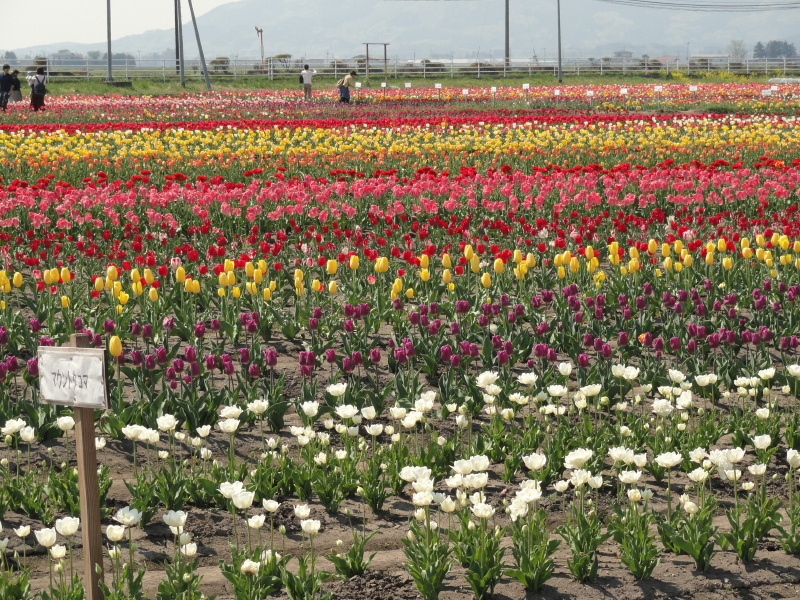 img0001.jpg