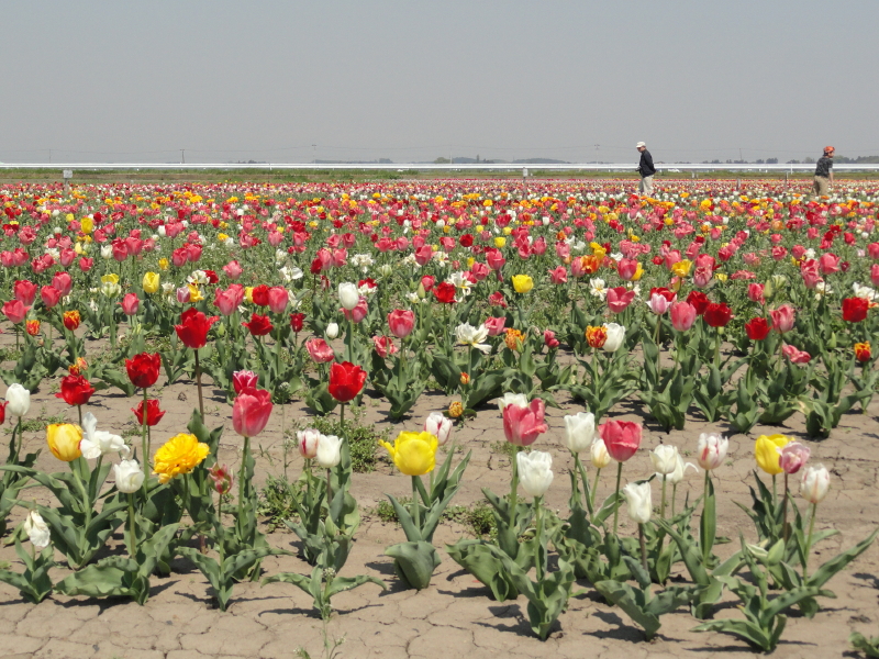 img0017.jpg