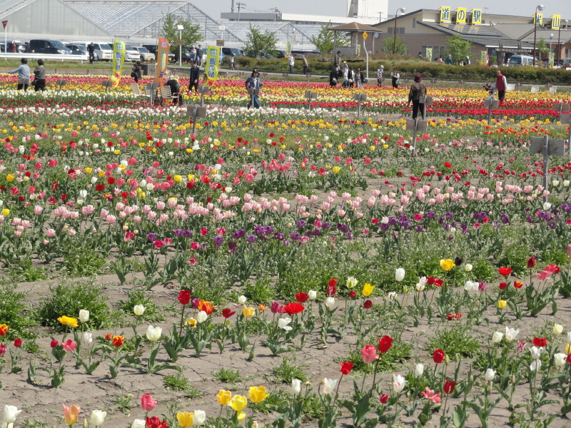 img0026.jpg