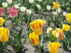 img0004.jpg
