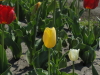 img0020.jpg