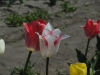 img0021.jpg