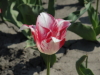 img0022.jpg