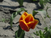 img0023.jpg