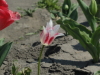img0024.jpg
