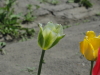 img0025.jpg