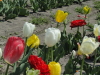 img0028.jpg
