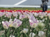 img0035.jpg