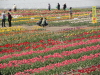 img0049.jpg