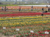 img0050.jpg