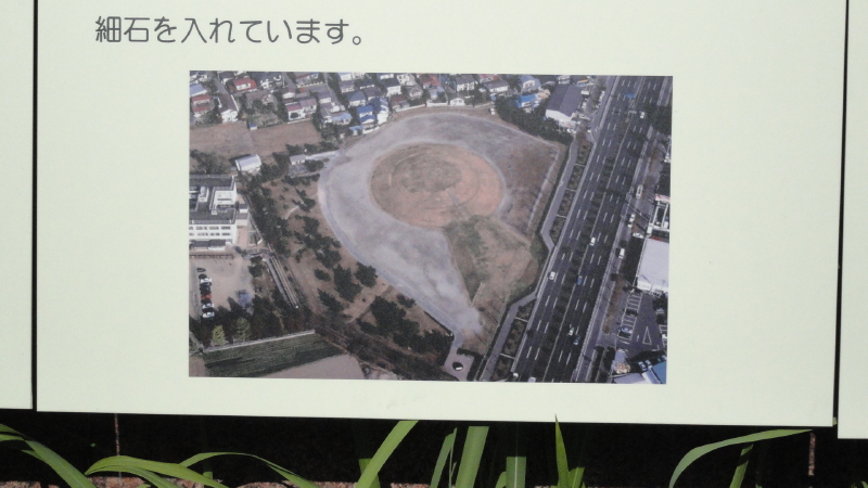 img0003.jpg