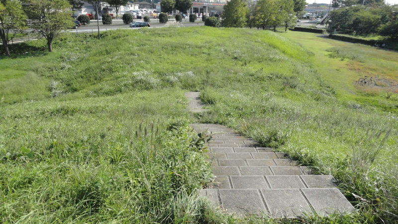 img0011.jpg