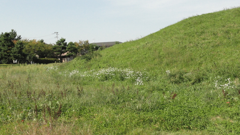 img0012.jpg