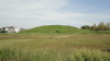 img0007.jpg