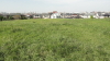 img0009.jpg