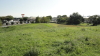 img0010.jpg