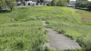 img0011.jpg