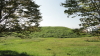 img0013.jpg