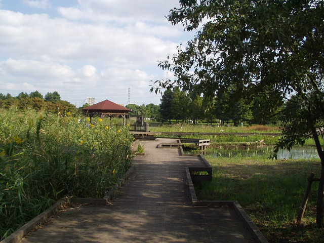 img0006.jpg