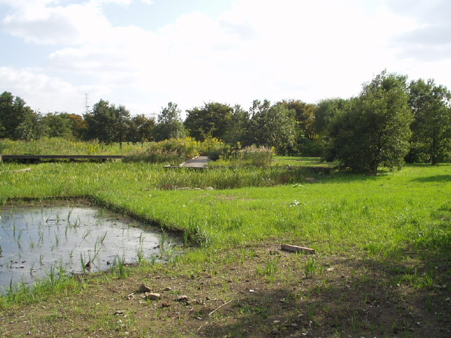img0008.jpg