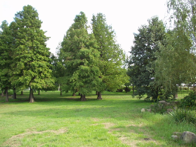 img0012.jpg