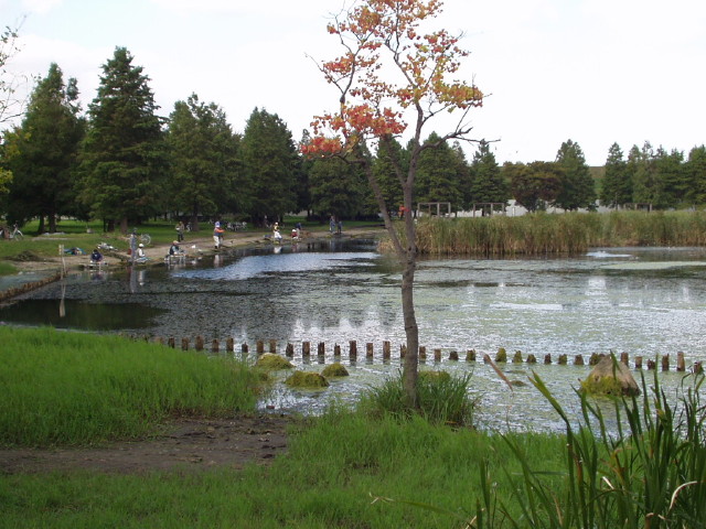img0014.jpg