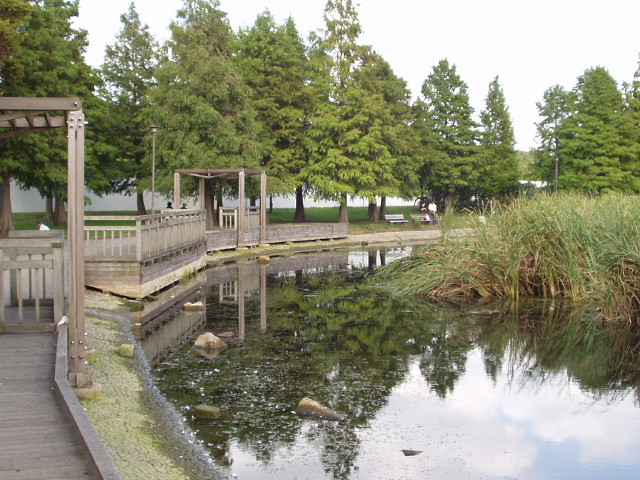 img0016.jpg