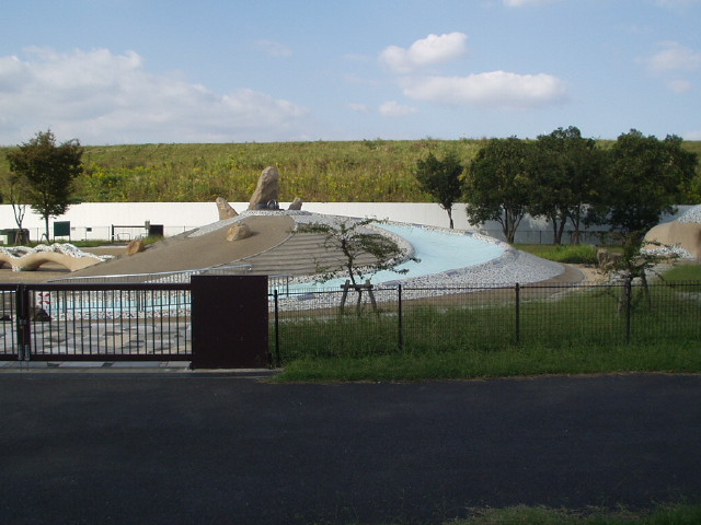 img0019.jpg