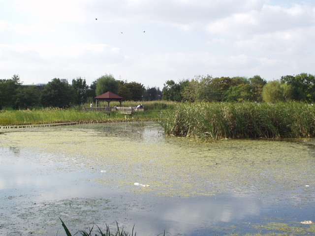 img0020.jpg