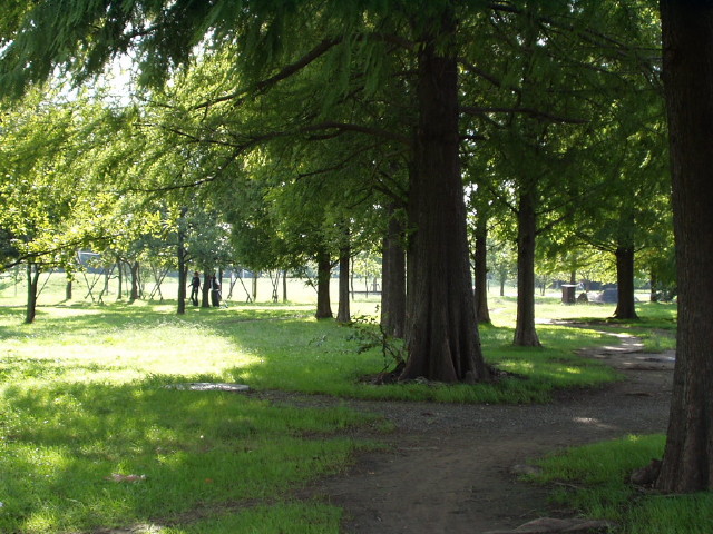 img0021.jpg