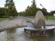 img0002.jpg