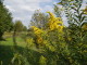 img0005.jpg