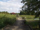 img0006.jpg