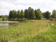 img0009.jpg